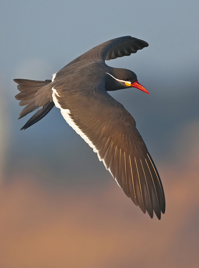 1/3200 sec at f / 5.0