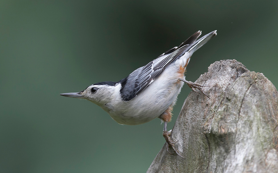 1/500 sec at f / 5.6