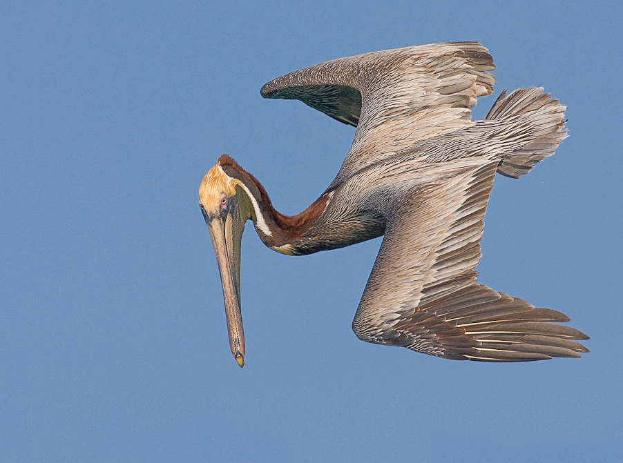 1/3200 sec at f / 5.6