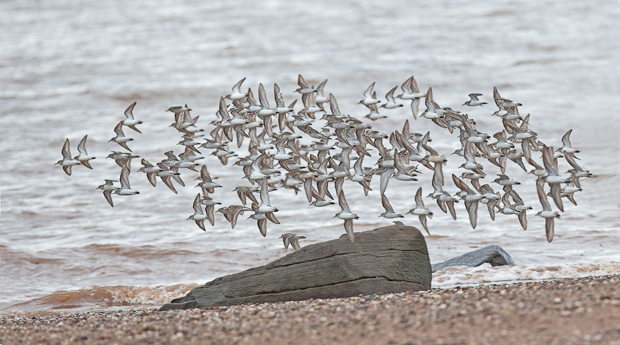 1/3200 sec at f / 4.0