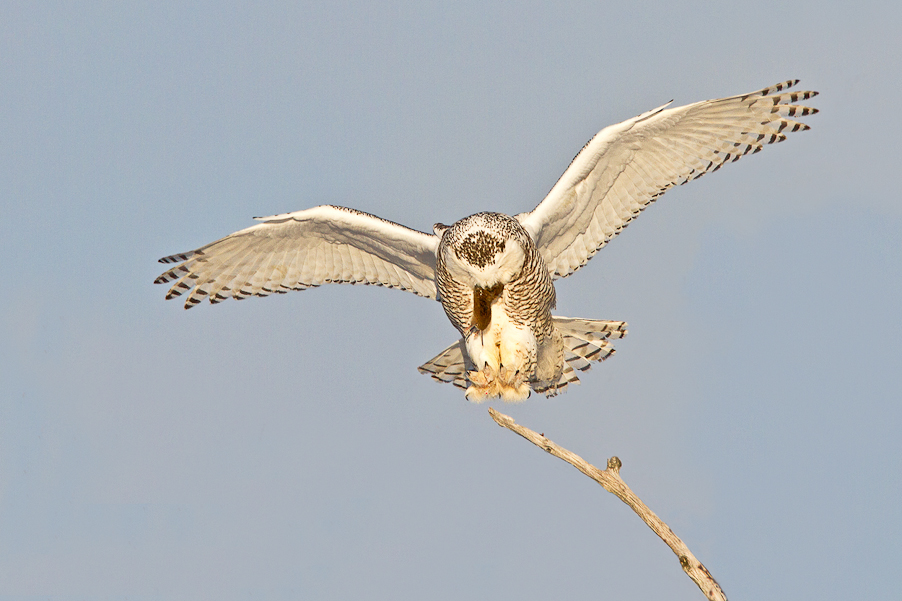1/1000 sec at f / 5.6
