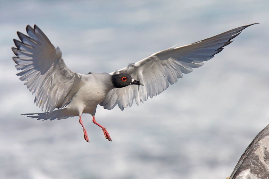 1/4000 sec at f / 5.6