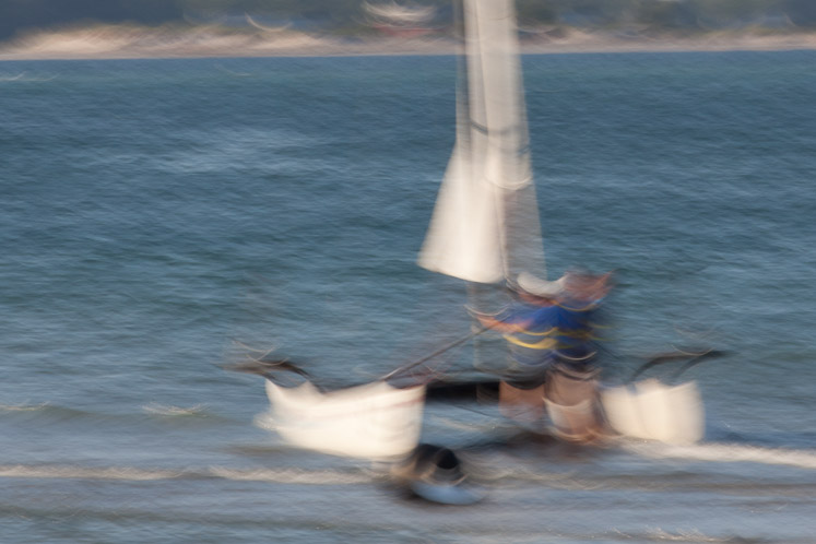 _MG_8443