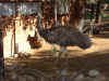 Dscf0048.jpg (87721 bytes)