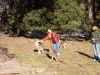Dscf0573.jpg (91048 bytes)