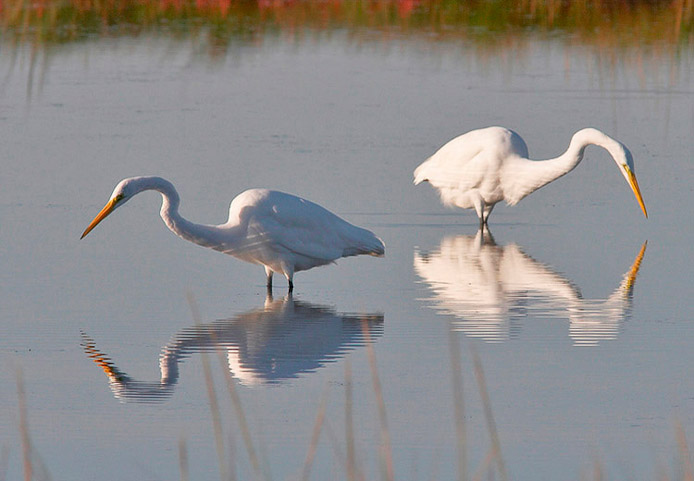 greategret02