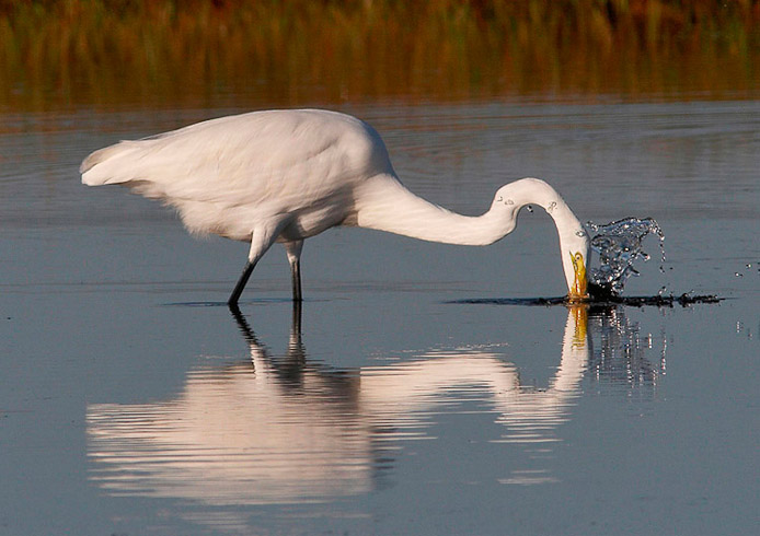 greategret06