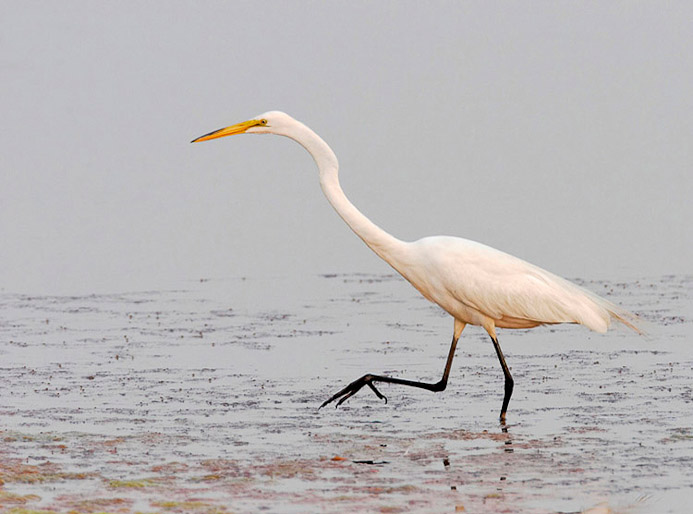 greategret08