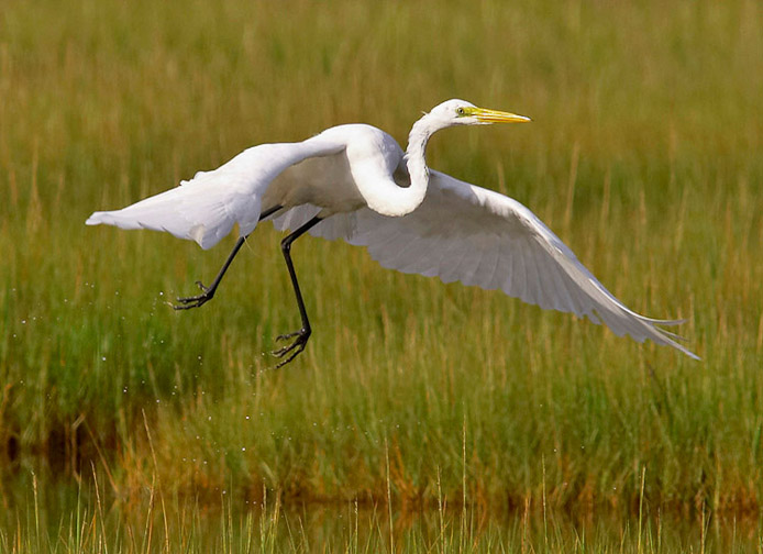 greategret12