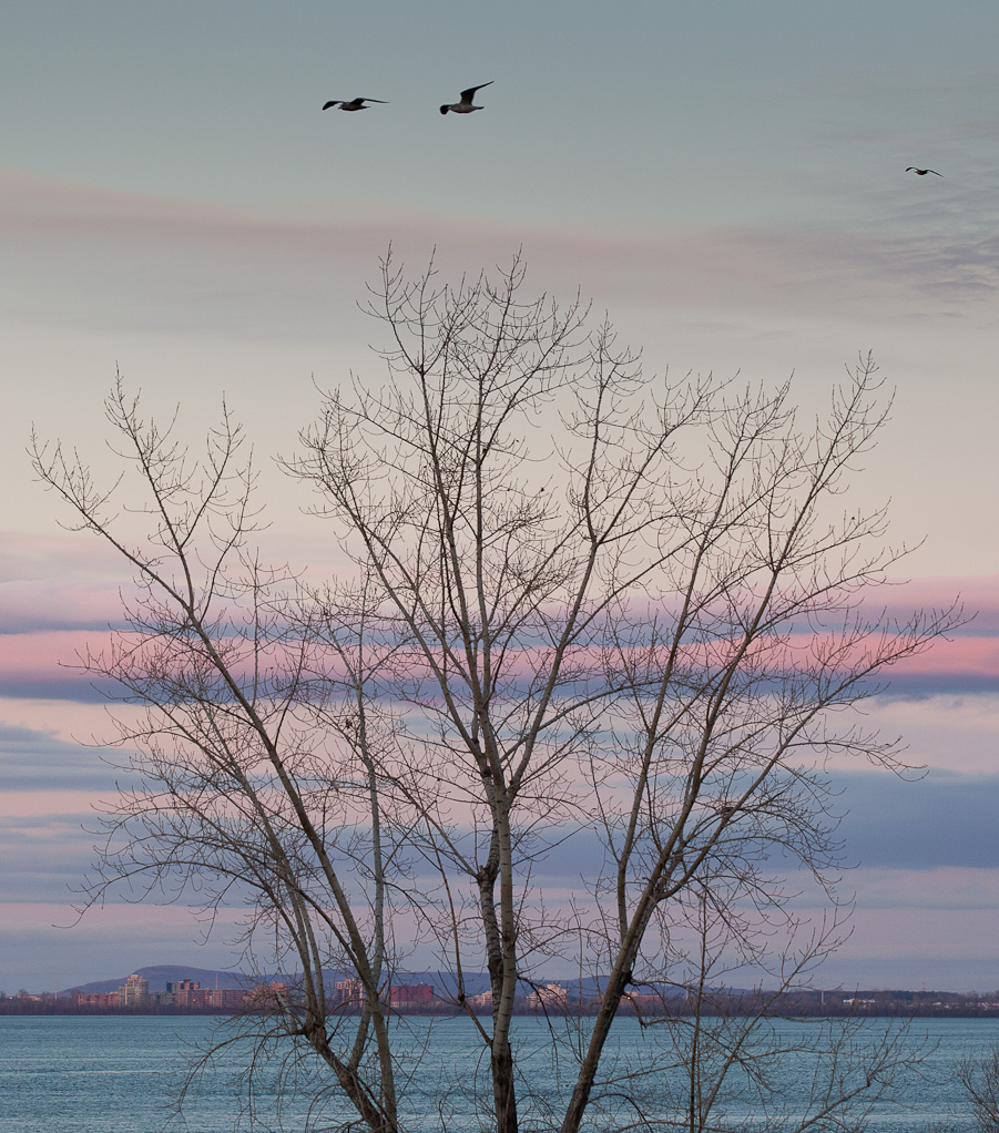 Canon EOS 5D Mark II - EF70-200mm f/4L USM