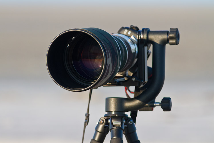 Canon EOS 7D - EF400mm f/5.6L USM