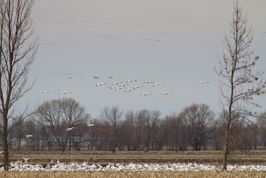 1/2000 sec at f / 6.3
