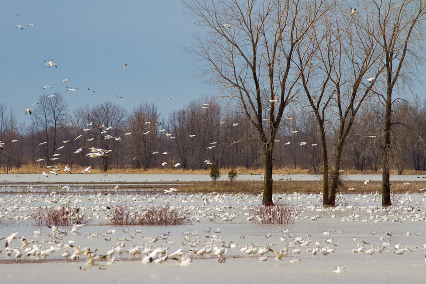 1/1250 sec at f / 6.3