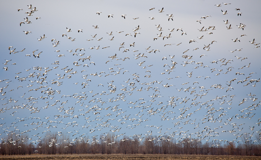 1/1600 sec at f / 5.6