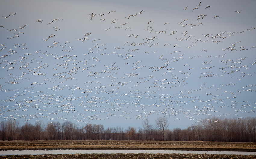 1/1600 sec at f / 5.6