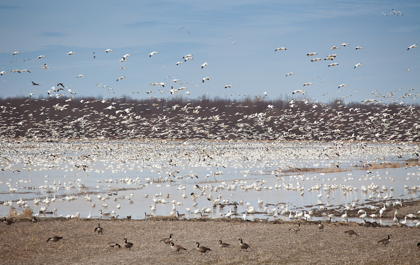 1/1600 sec at f / 5.6
