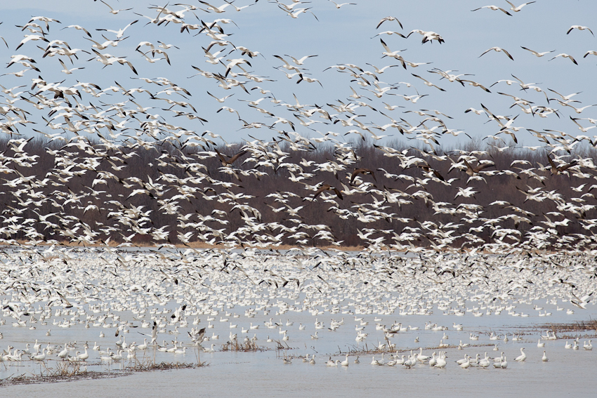 1/2000 sec at f / 5.6