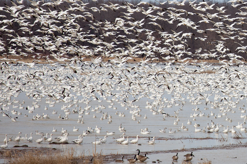 1/2000 sec at f / 5.6