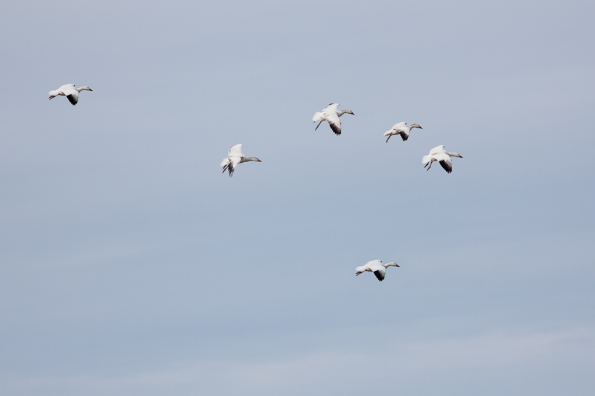 1/2000 sec at f / 6.3