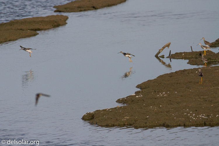 Canon EOS 7D  --  340 mm  --  EF100-400mm f/4.5-5.6L IS II USM  