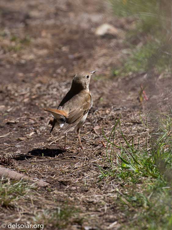 Canon EOS 5D Mark III  --  349 mm  --  EF100-400mm f/4.5-5.6L IS II USM  