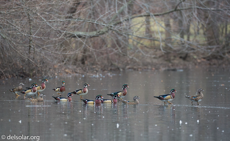 Canon EOS 5D Mark III  --  255 mm  --  EF100-400mm f/4.5-5.6L IS II USM  