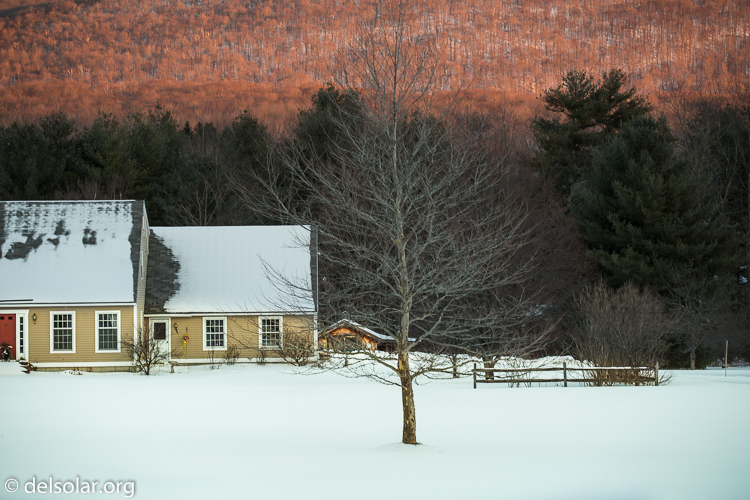 Canon EOS 5D Mark III  --  104 mm  --  EF70-200mm f/4L USM  